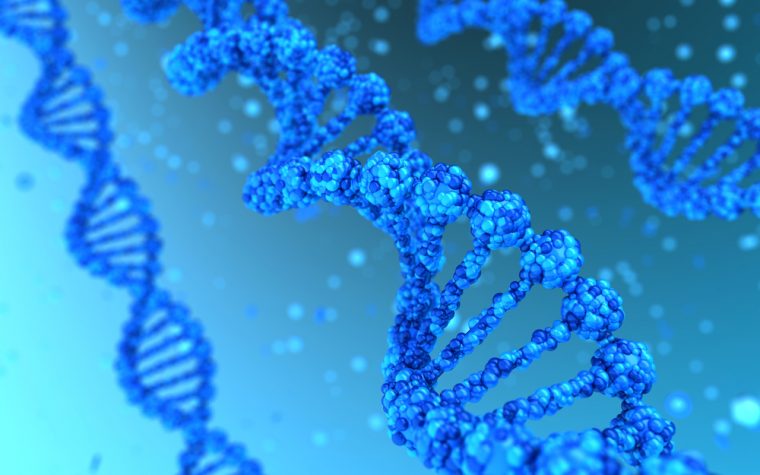 gene mutation as potential biomarker