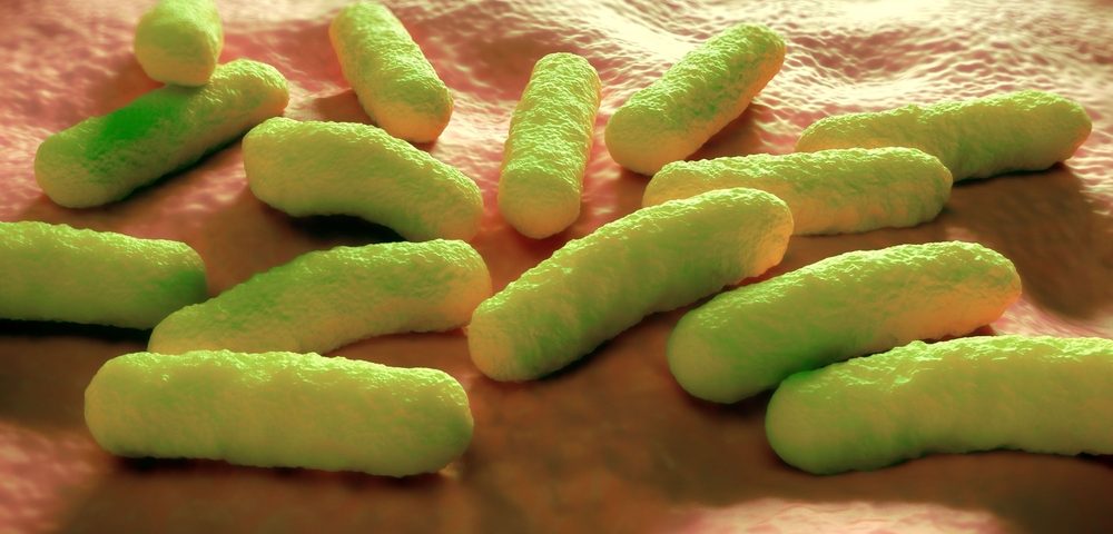 Salmonella May Be Vehicle for Making Prostate Cancer Therapies More Effective