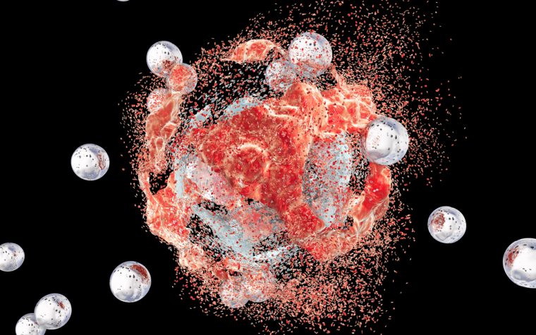 Nanoparticles human serum albumin prostate cancer
