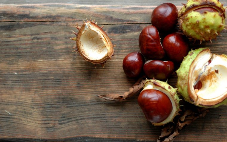 horse chestnut extract