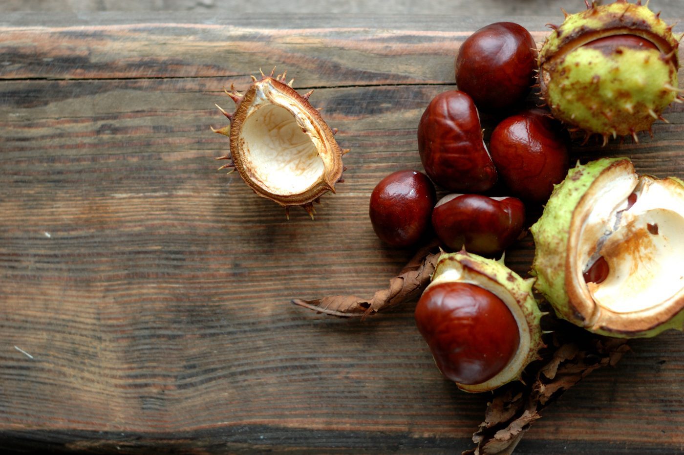 Gel Based on Horse Chestnut Seen to Improve Cancer Imaging