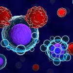 CRISPR/Cas9 and Prostate Cancer Cells