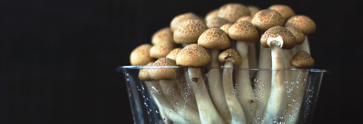 Eating Mushrooms May Prevent Prostate Cancer, Japanese Study Suggests