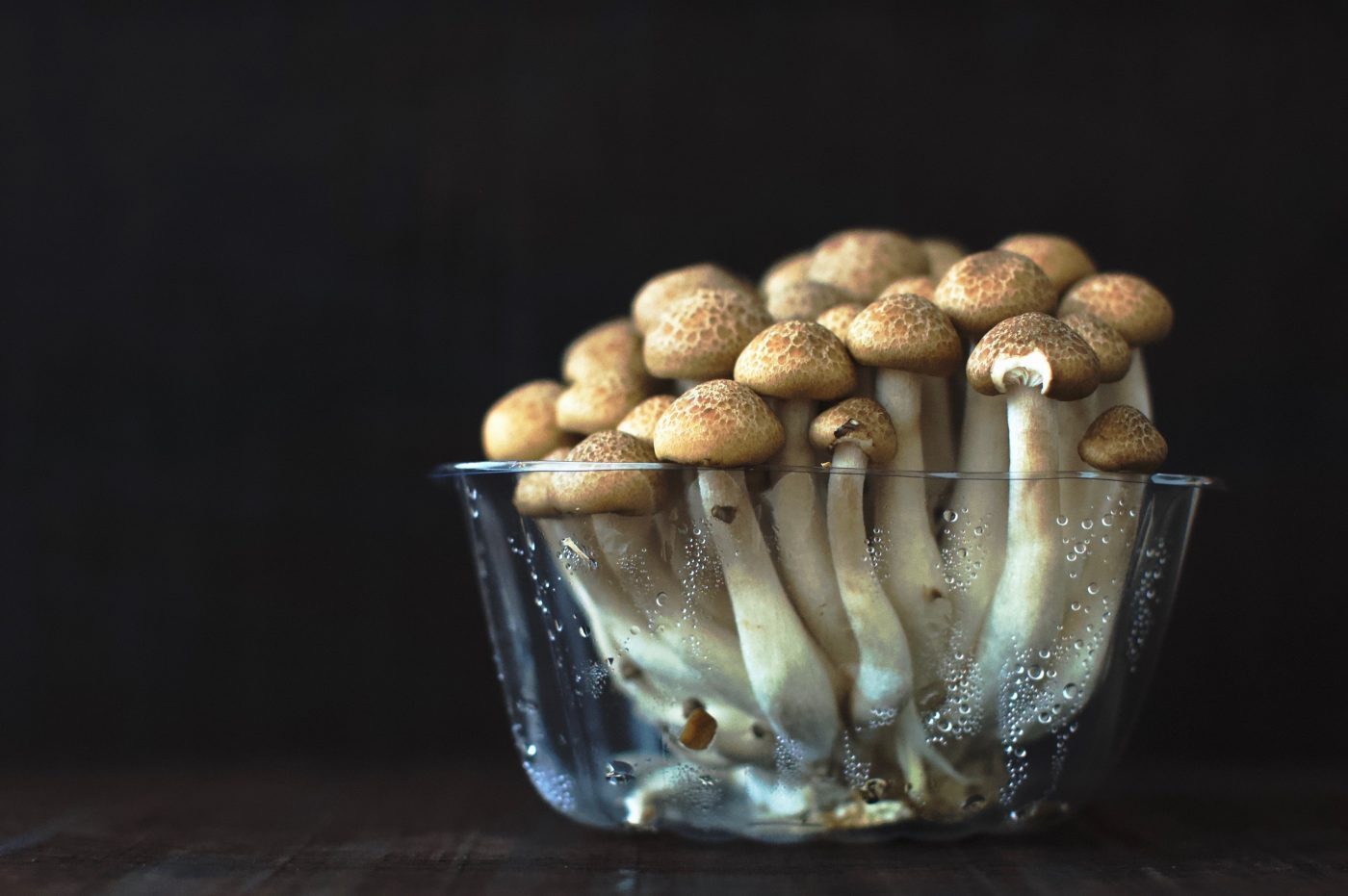 Mushrooms May Prevent Prostate Cancer Japanese Study Suggests