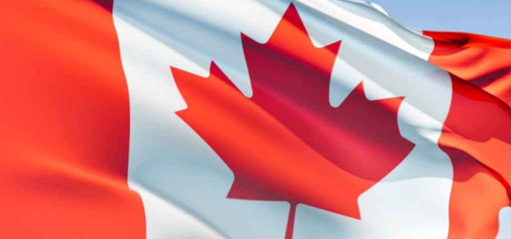 Canada Approves Lynparza for Metastatic CRPC Patients With Certain Gene Mutations